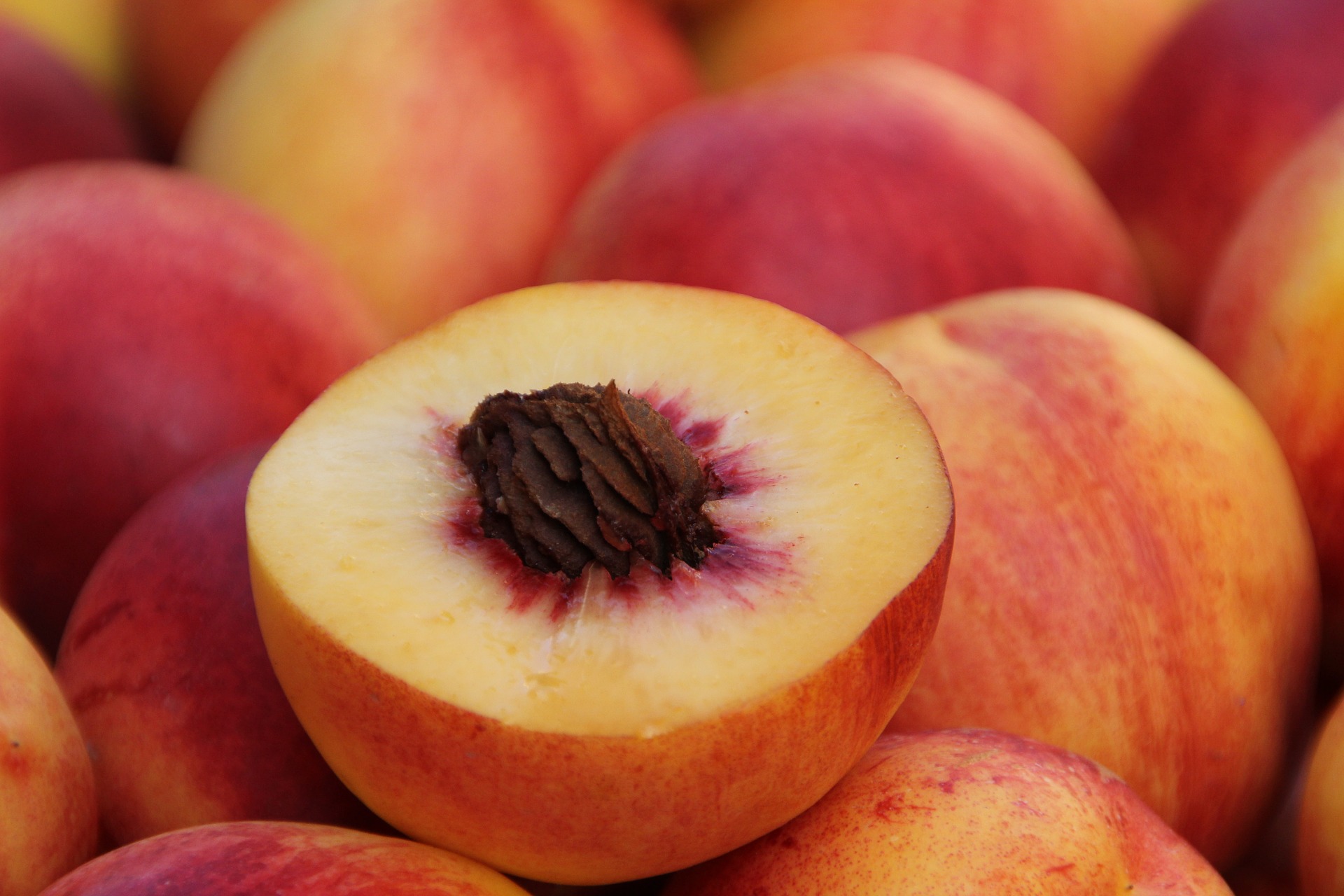 Peach Growers Hope For A Cold Winter WABE