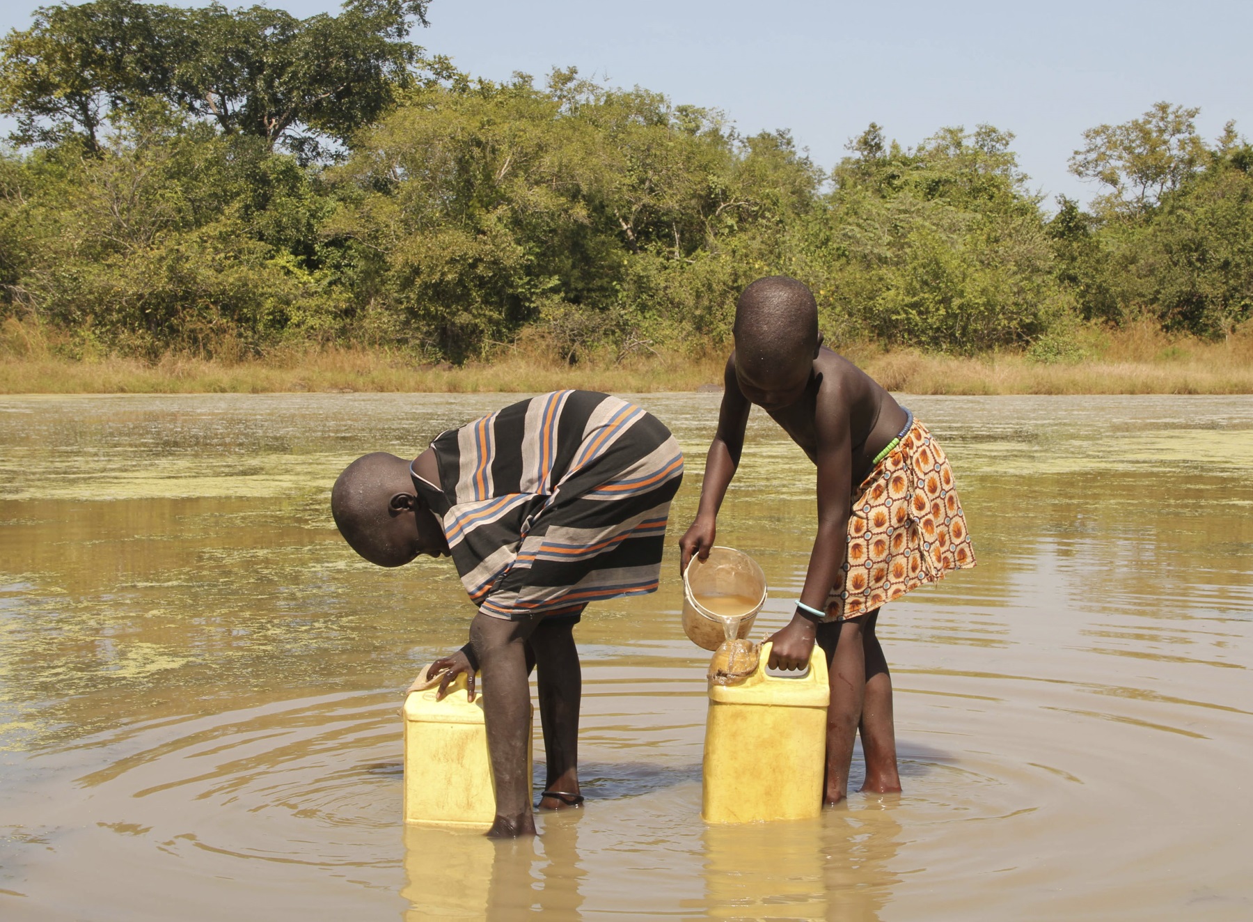 Carter Center: Spread Of Guinea Worm Disease Stopped In South Sudan