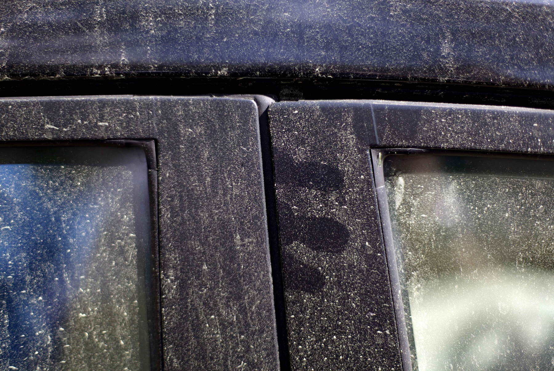 Atlanta Pollen Count Spikes, Though You Might Not Feel It Yet WABE