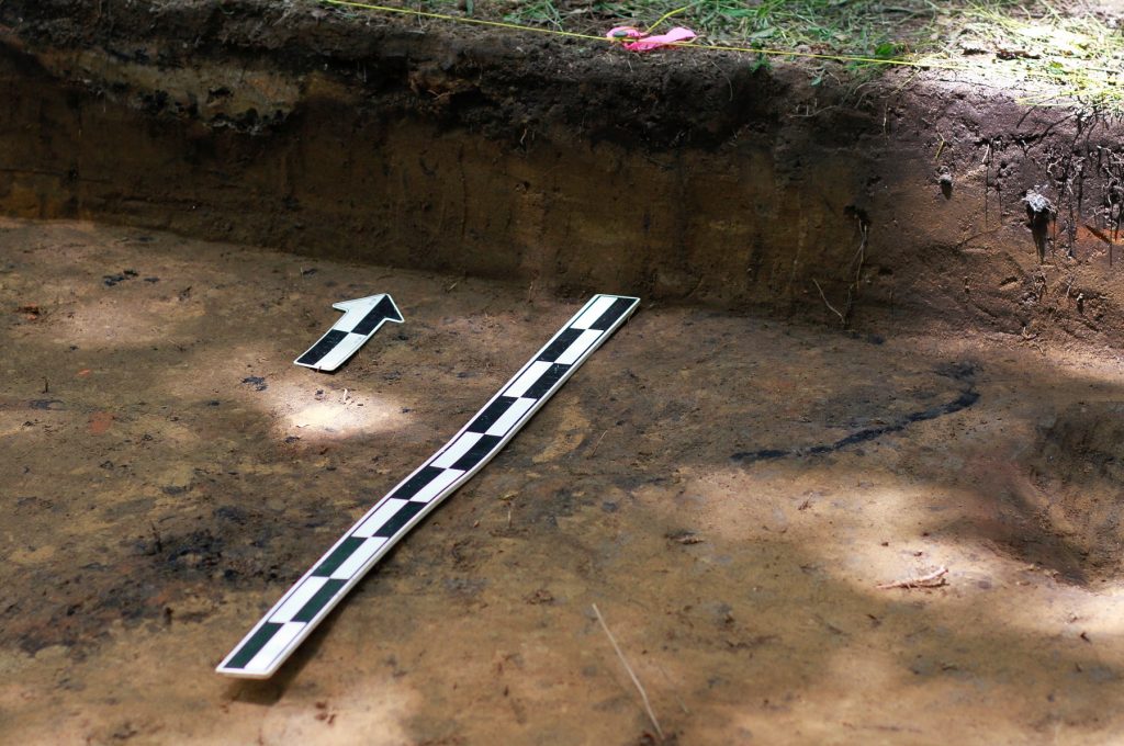 Burned remnants of a home can be seen at the Georgia site. For archaeologists, this site reveals the history of northeast Georgia before Europeans settled there, but after Spanish explorers had passed through. (Kaitlin Kolarik/WABE)