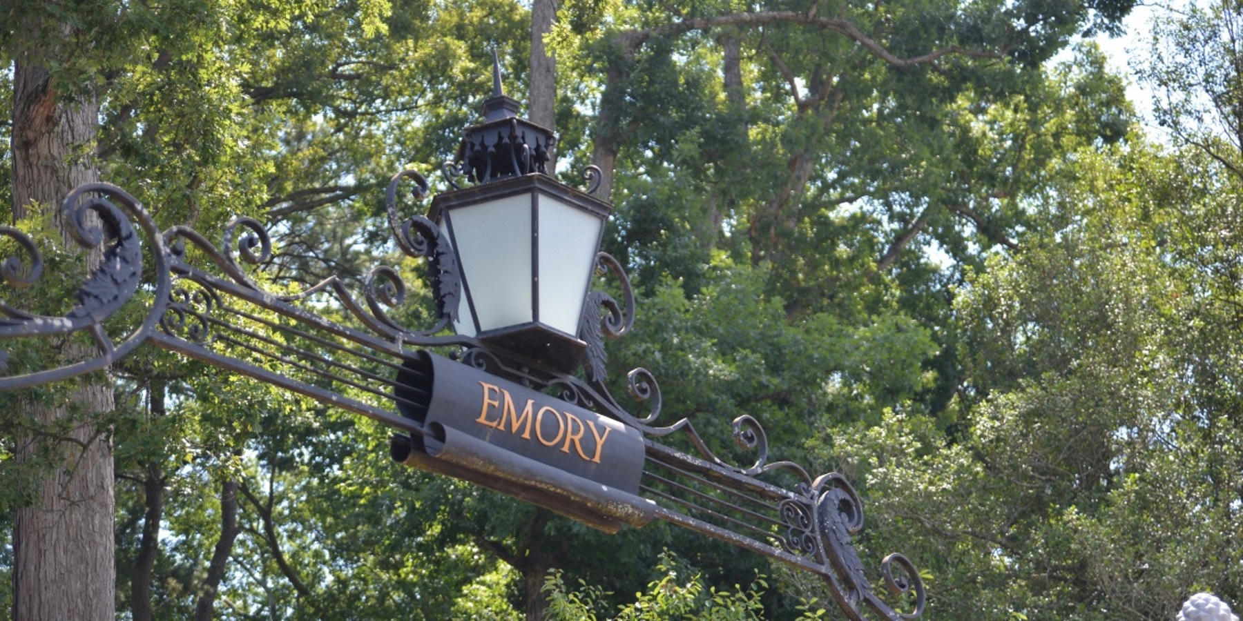 Emory Law Professor Accused Of Using Racial Slur During Lecture