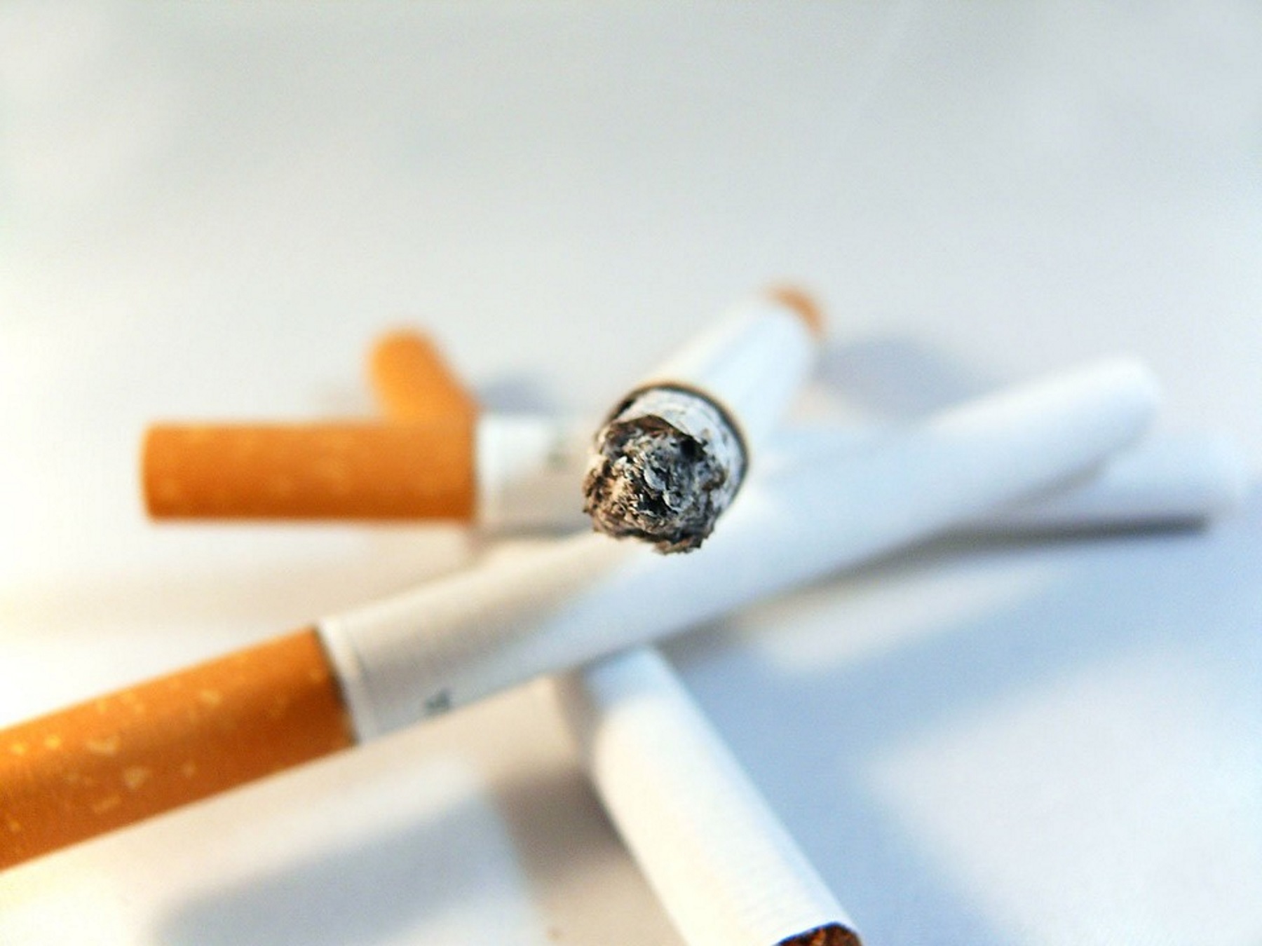 explore.data.stats.govt.nz cigarette smoking behaviour Creative experiences and brain clocks explore.data.stats.govt.nz cigarette smoking behaviour Creative experiences and brain clocks