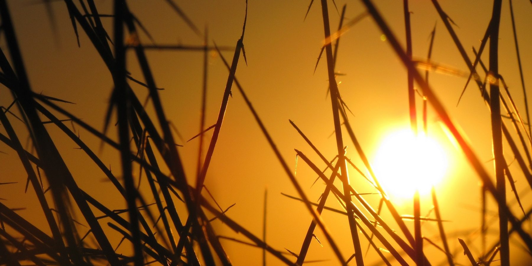 Southeast Mostly Drought-Free, But Georgia And Alabama Worsening