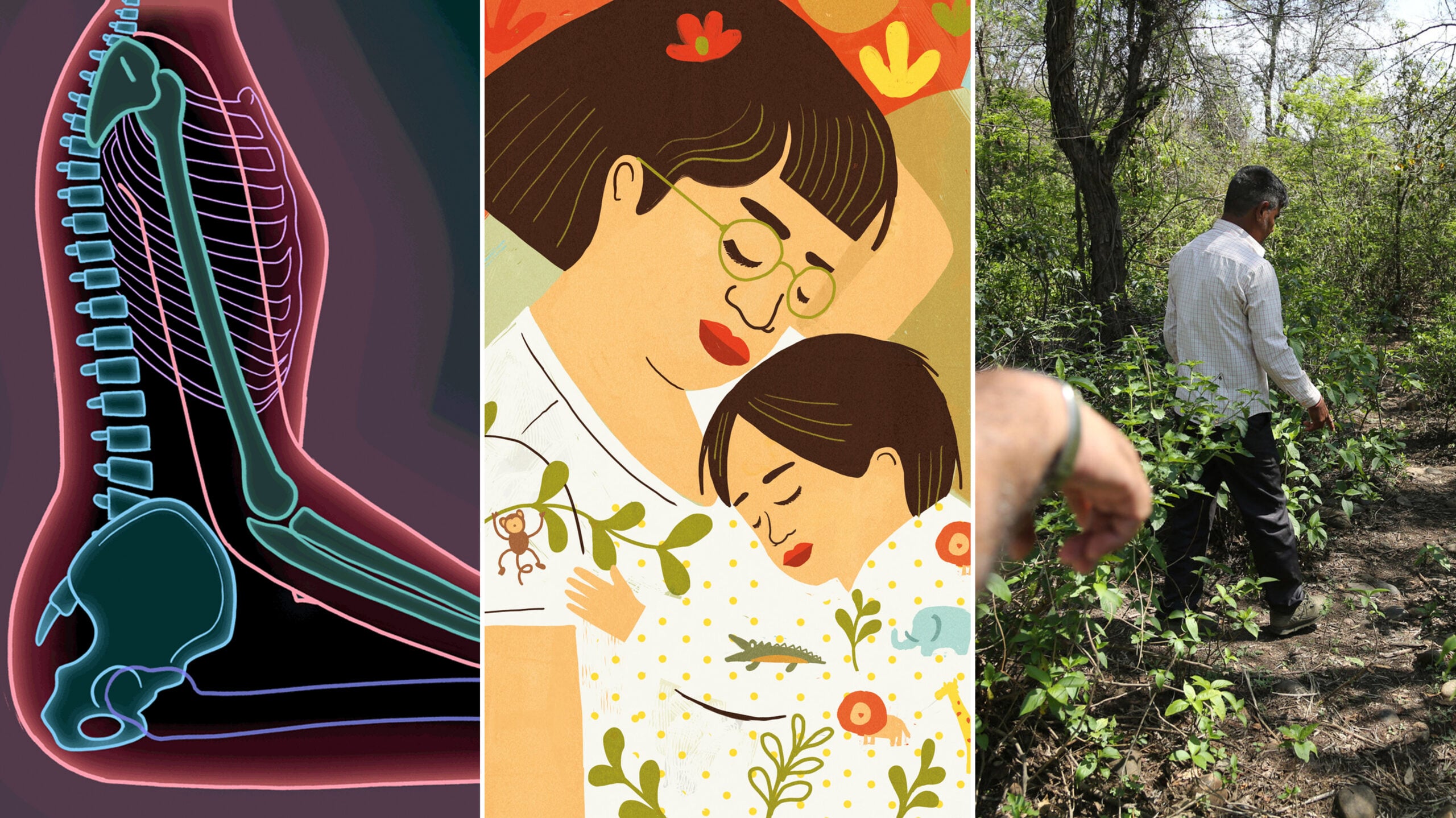 7 Of Our Most Popular Global Health And ... picture