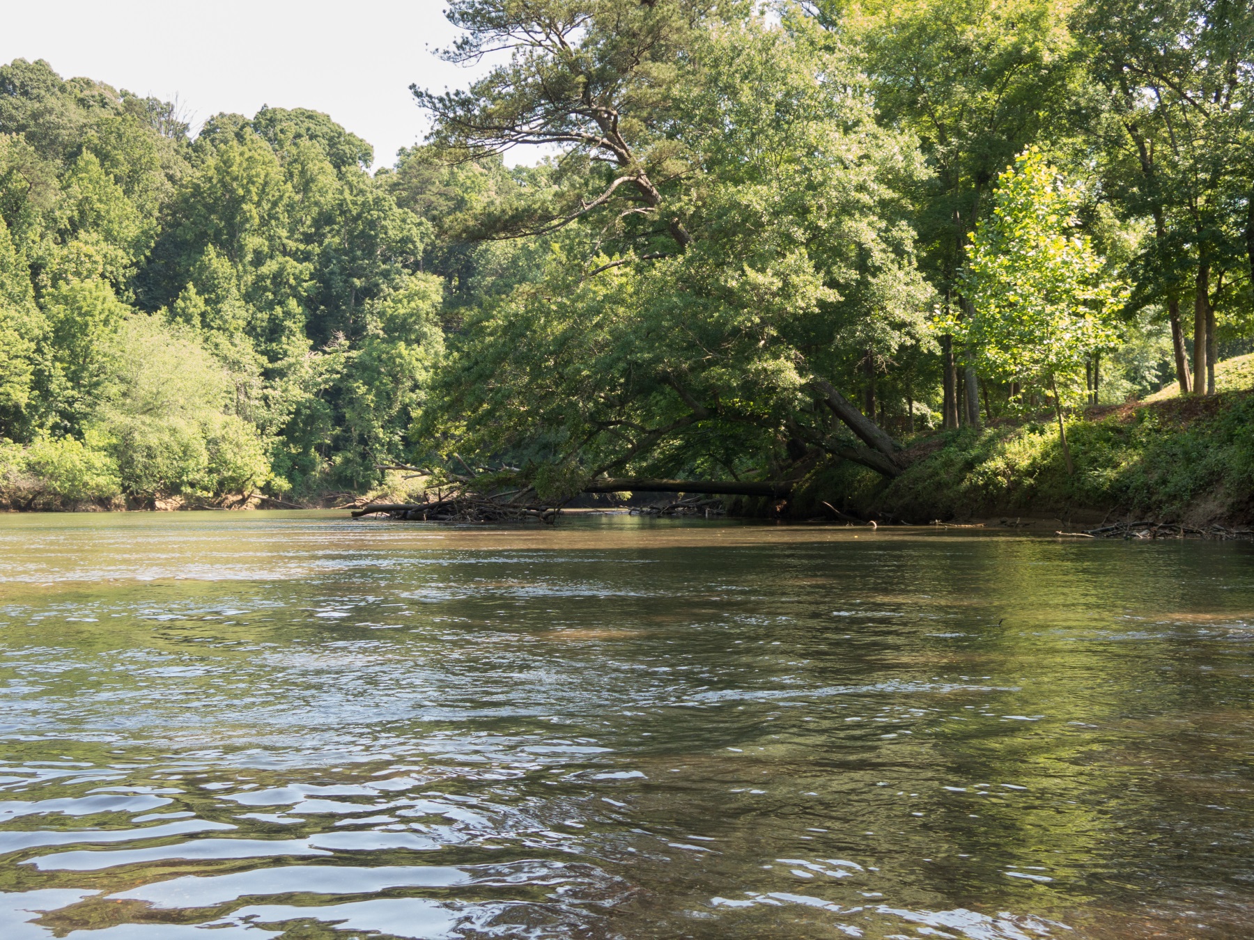 Treatment Pump Fails, Spills Sewage Into Chattahoochee River Tributary