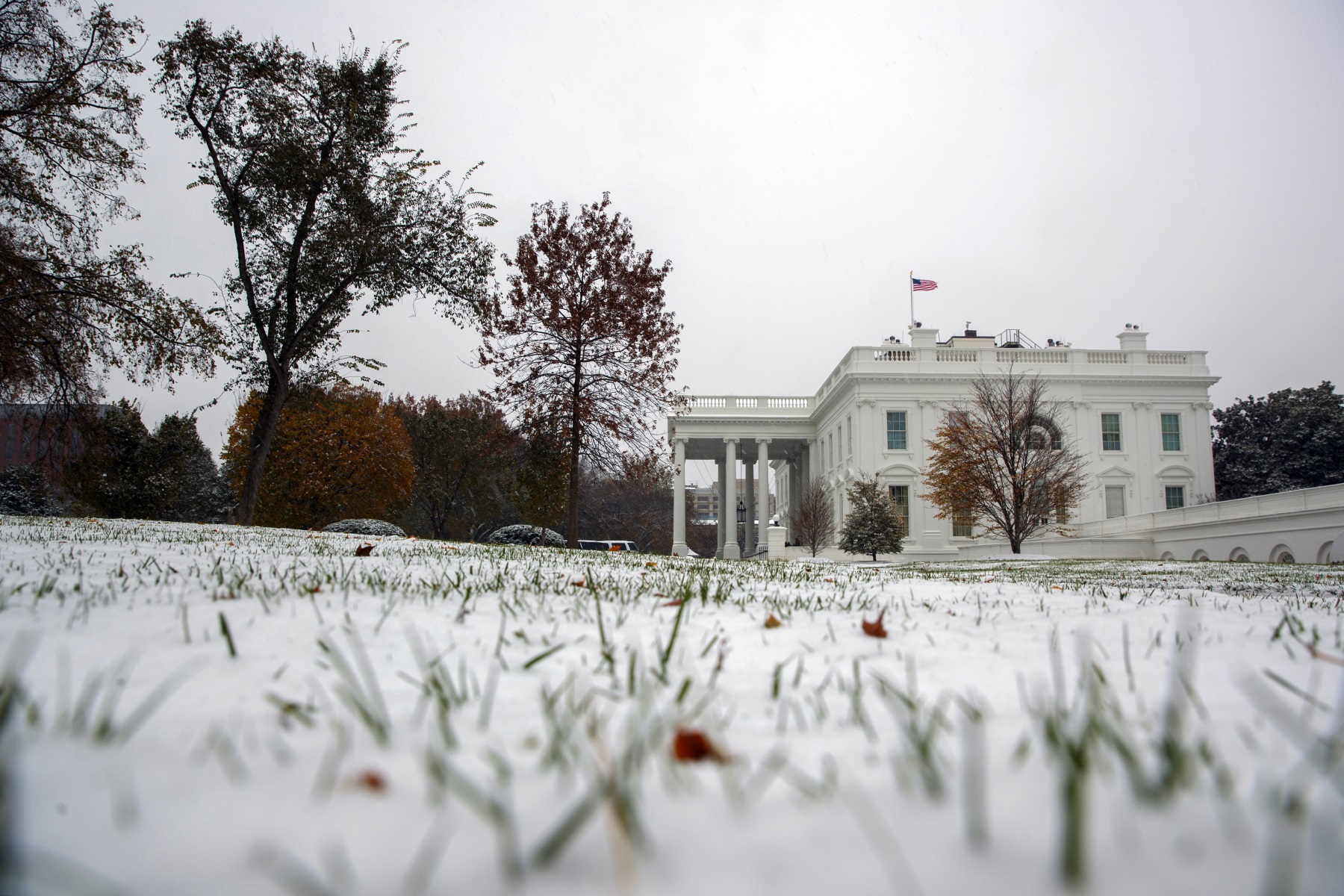 Georgia Man Accused Of White House Attack Plot To Remain In Custody