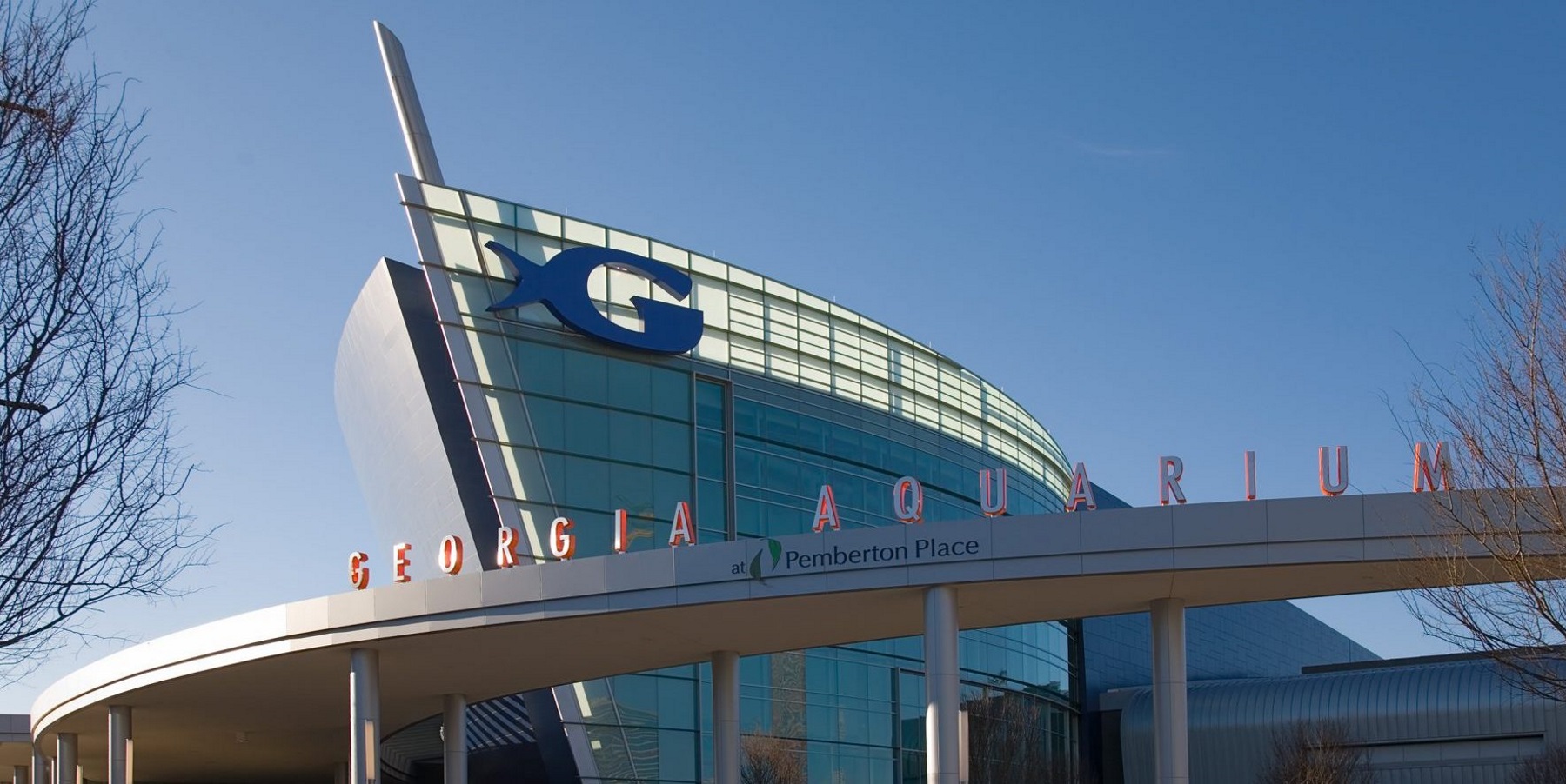 Georgia Aquarium Mourns Death Of Oz, 18-Year-Old Sea Otter