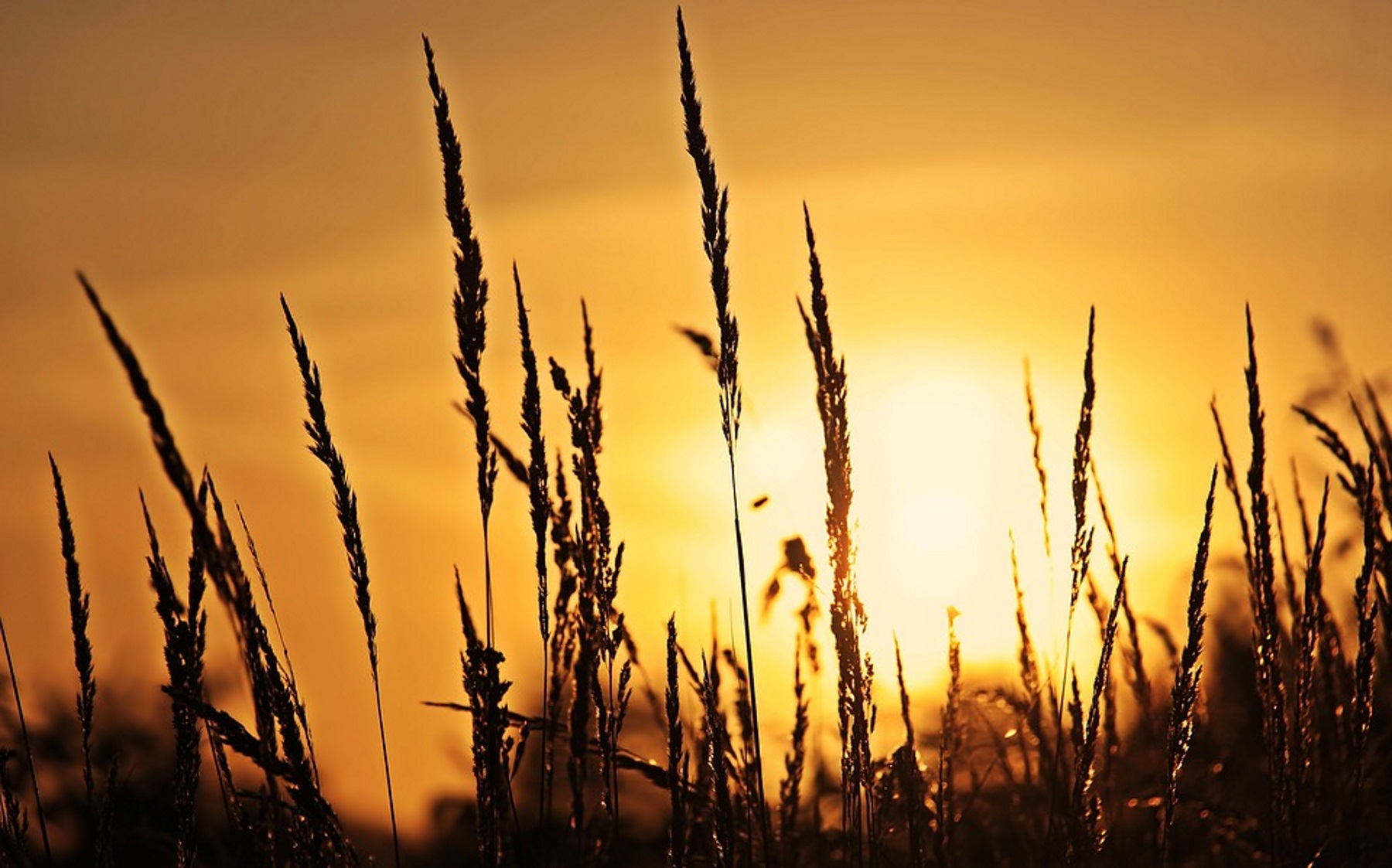 Heat Wave Before Summer Even Starts Grips Deep South