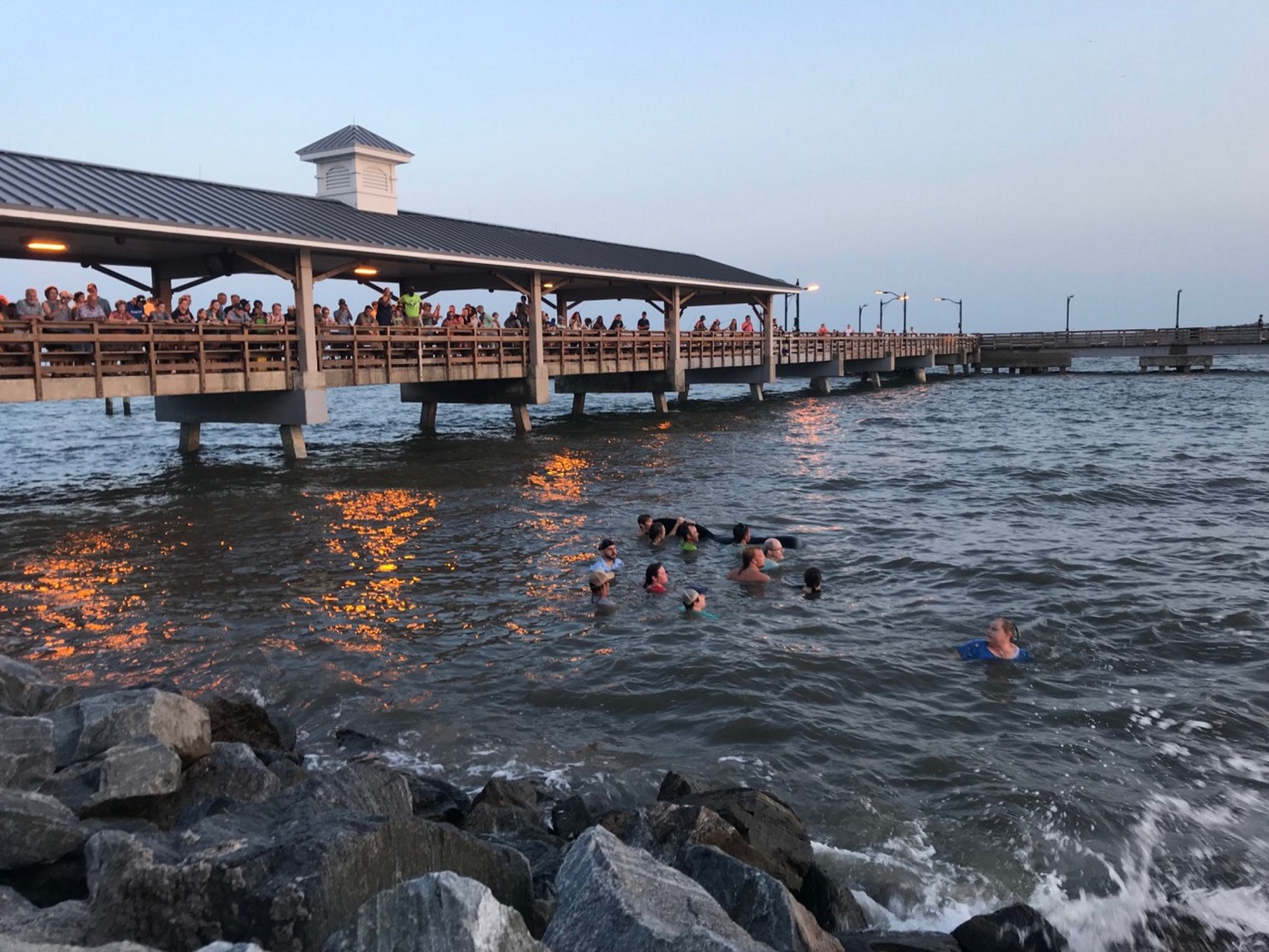 Why Did Whales Beach Themselves In Georgia? No Answers Yet
