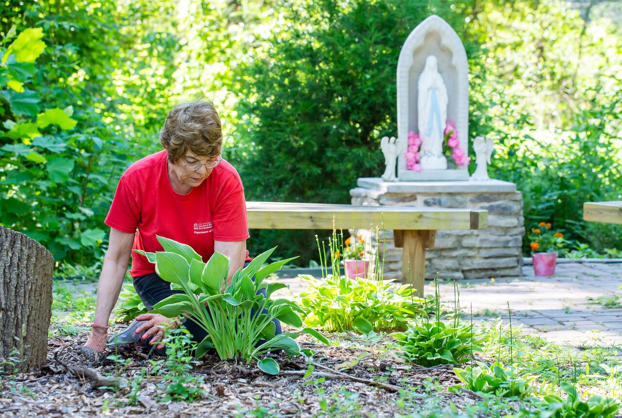 Susan Varlamoff, working in the garden at St. John Neumann Catholic Church in Lilburn, says when she found out about Laudato Si, she “went through the roof.” (Bita Honarvar/For WABE)