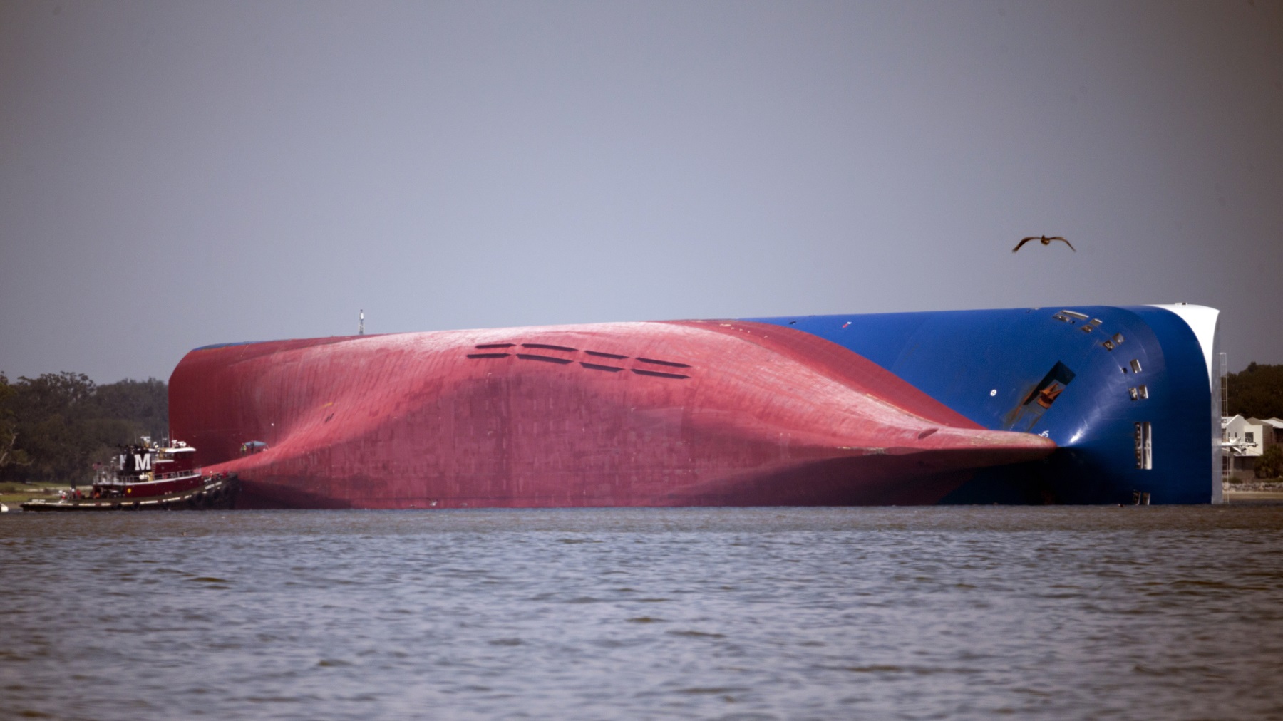 Oil From Capsized Ship Washes Ashore Along Georgia Coast