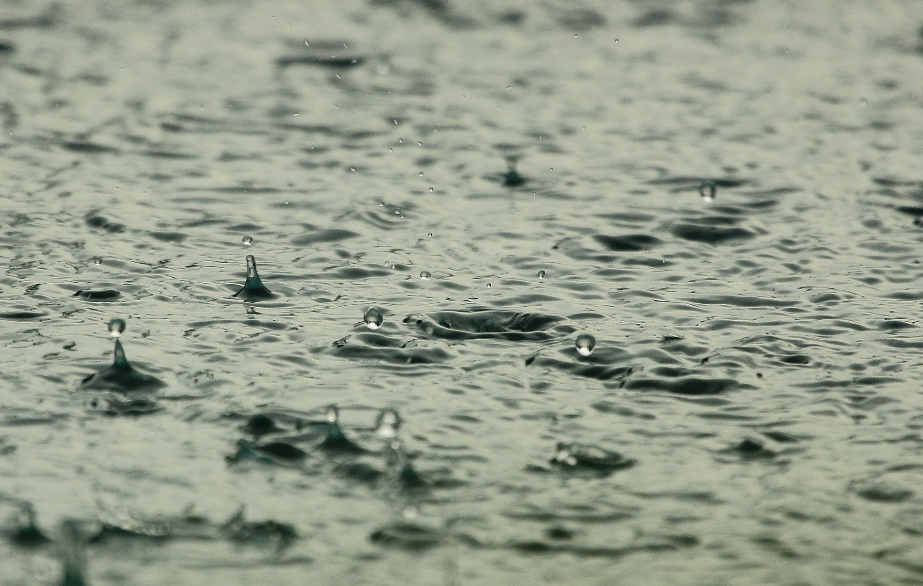 Much Of South Under Flood Threat As Rain Drenches Region