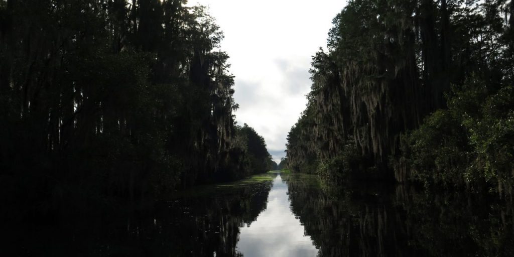 Okefenokee Swamp in South Georgia is a National Wildlife Refuge.