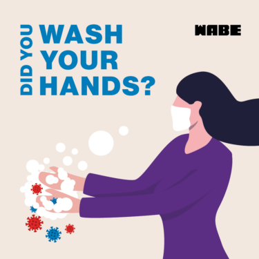 Did You Wash Your Hands?