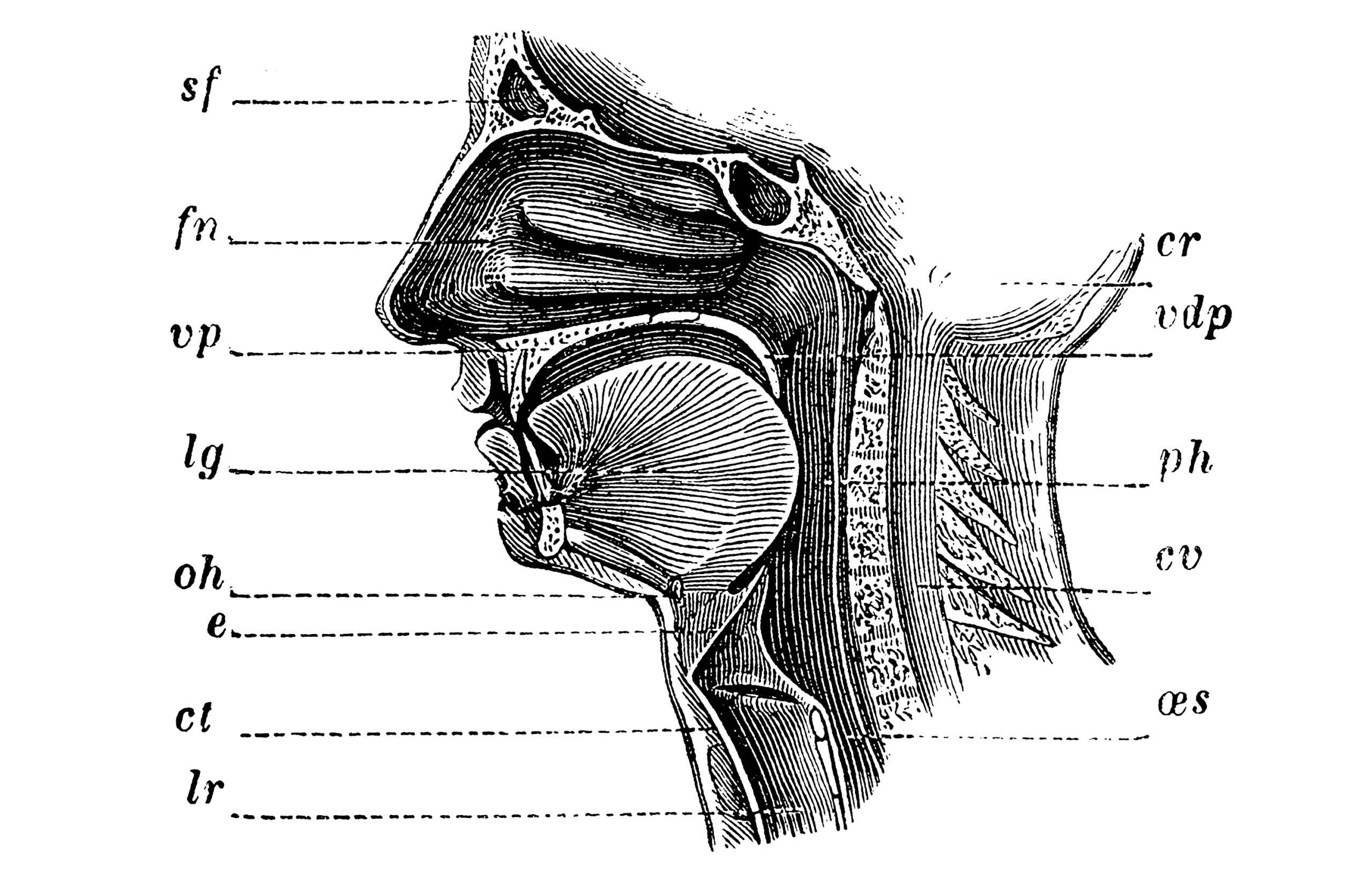Is Loss Of Smell And Taste A Symptom Of COVID19? Doctors Want To Find