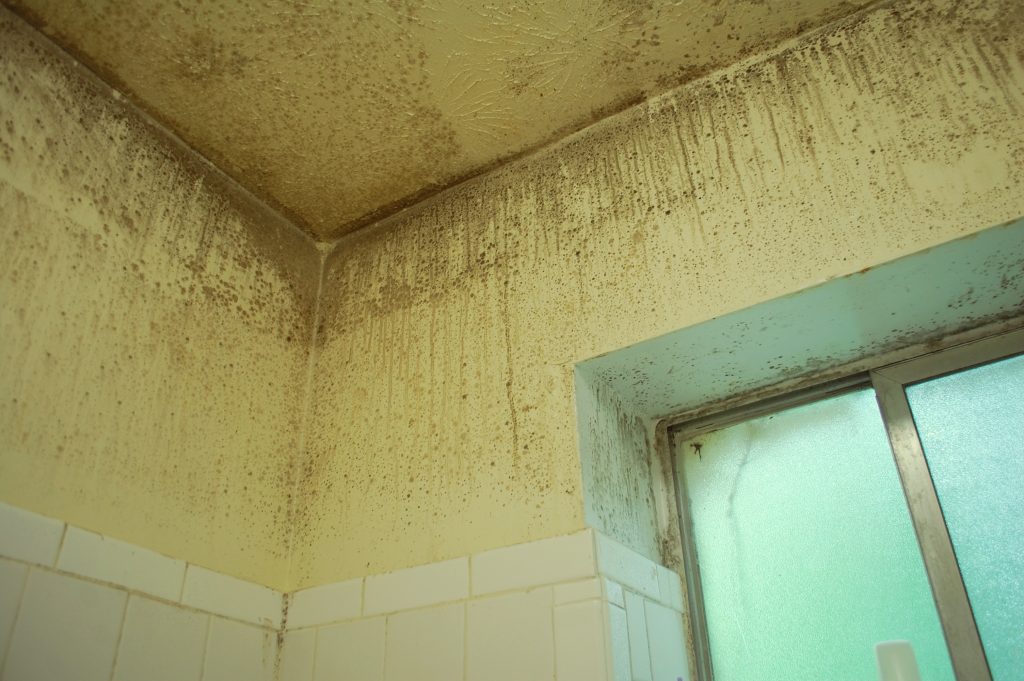 Black and brown spots cover the walls around Laquetta Moore's shower. 