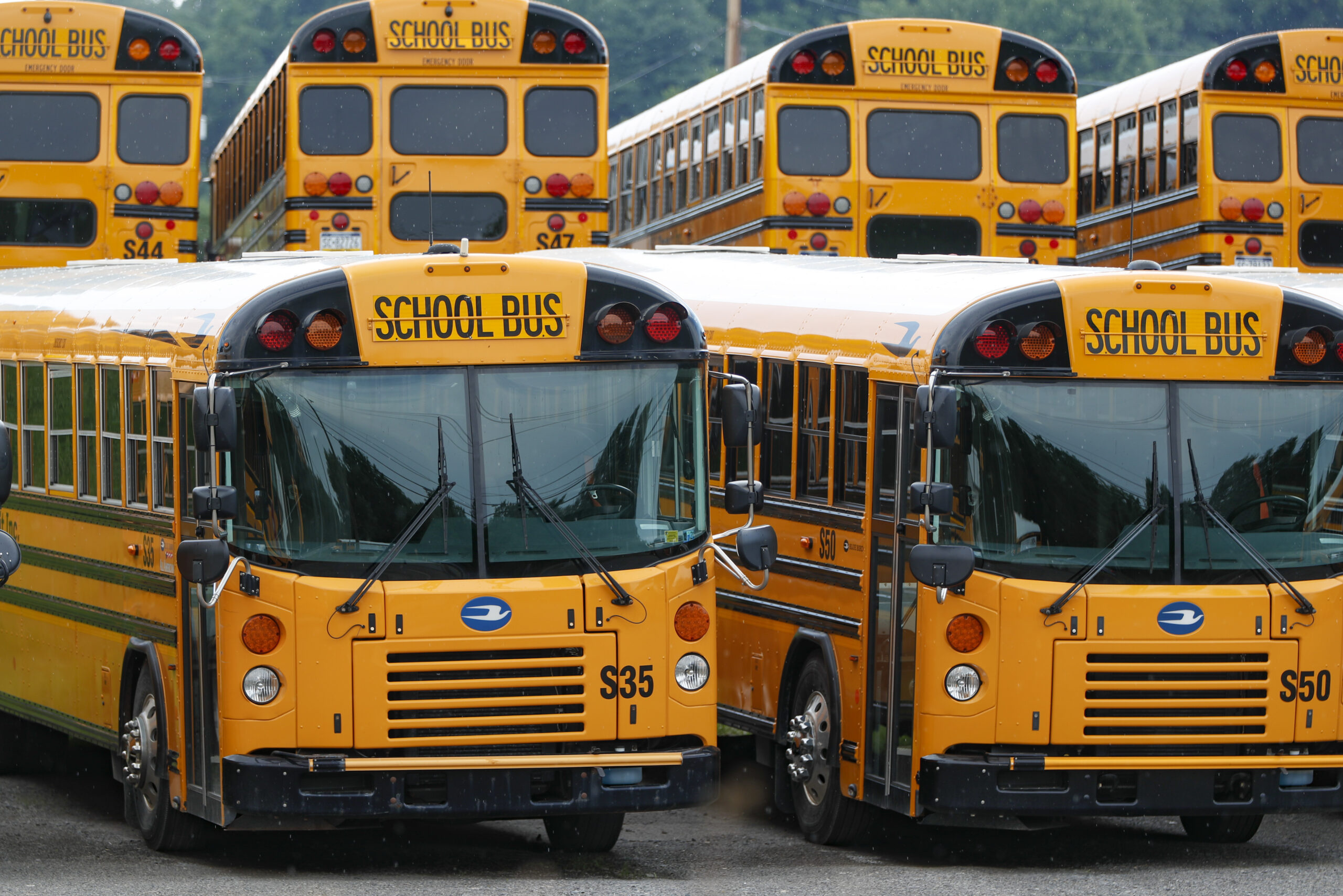 Georgia School With Large Crowds Reports Positive Cases