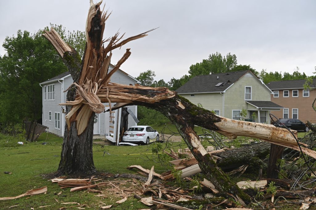 A downed tree and damaged homes are seen Monday along Elvis Presley Drive in Tupelo, Mississippi. (Thomas Graning/Associated Press)