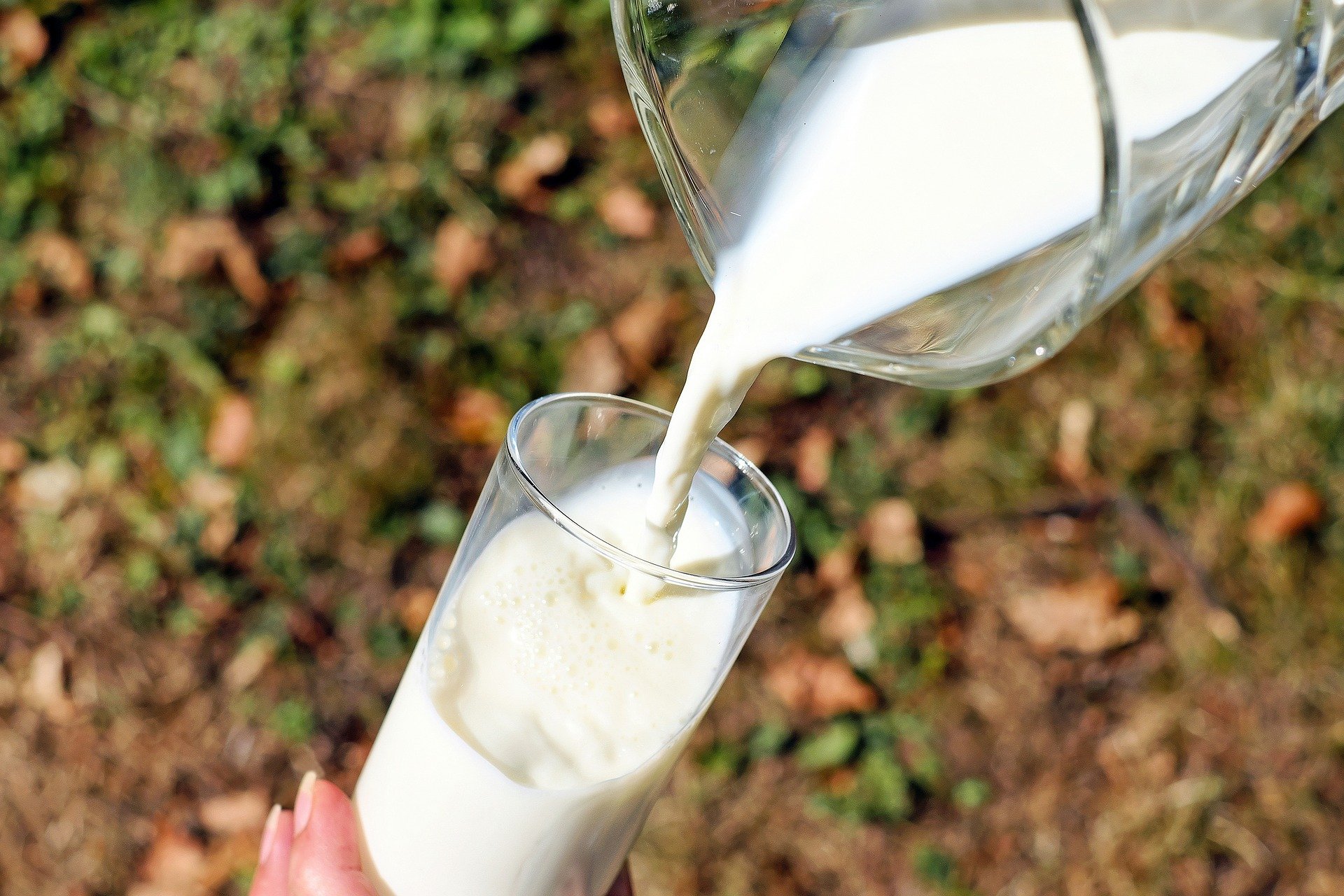 Some Georgia Dairy Farmers See Cash Cow In Raw Milk Sales