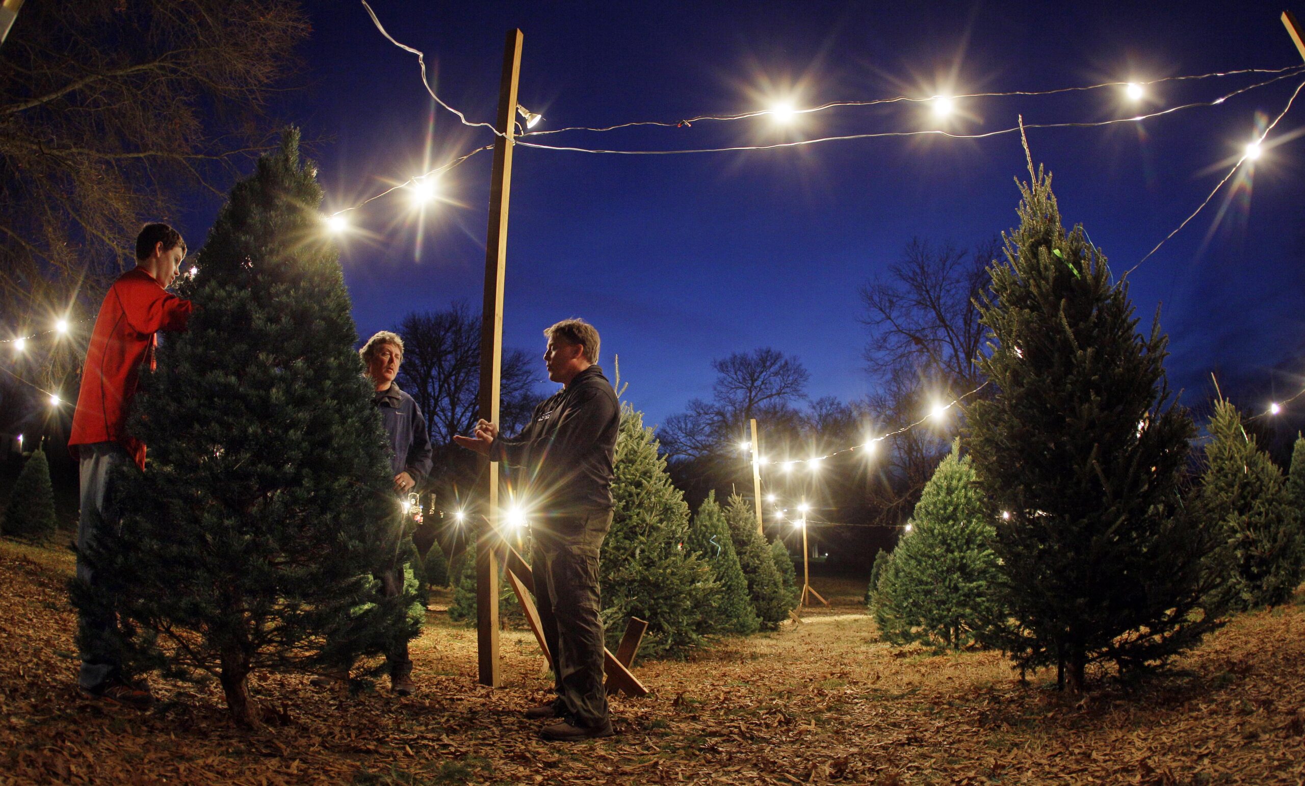 Atlanta Christmas tree retailer urges shoppers to buy early due to
