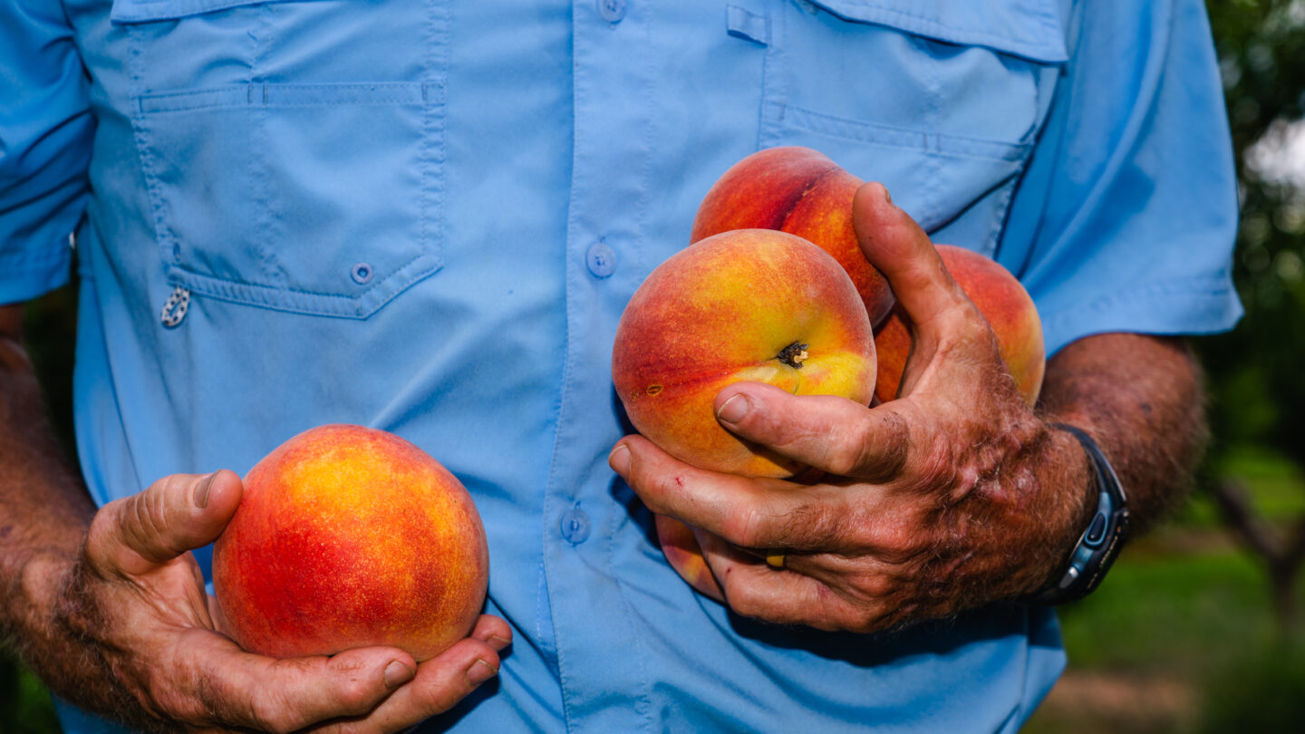 Family Tree Farms - Peaches