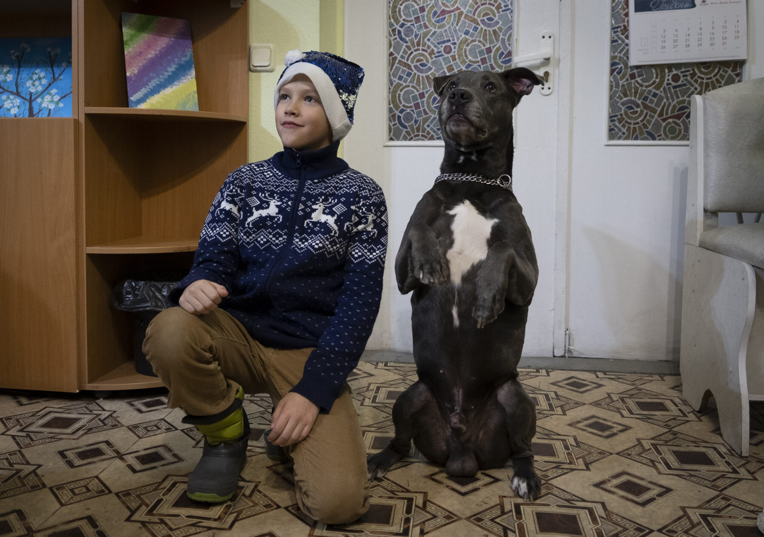 Dog therapy provides ‘freedom’ for kids facing trauma of the war in