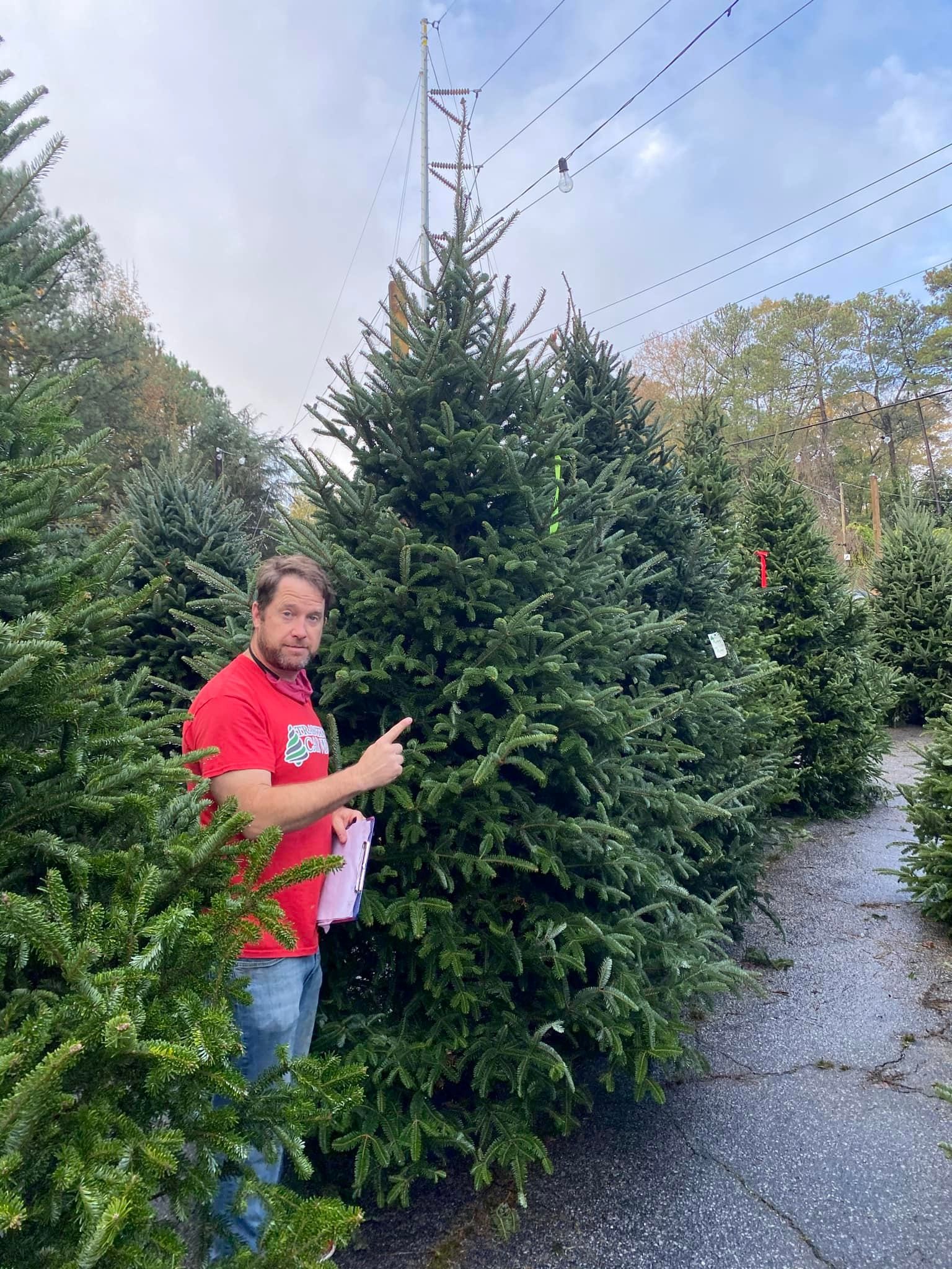 Atlanta Christmas tree retailer on why there’s a shortage of taller