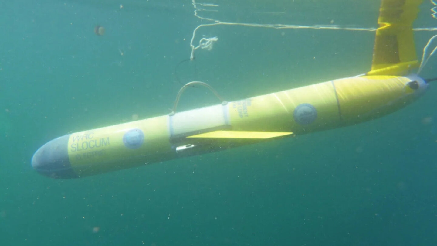 Underwater robots deployed to help endangered right whales off Georgia coast – HONEYCOMB