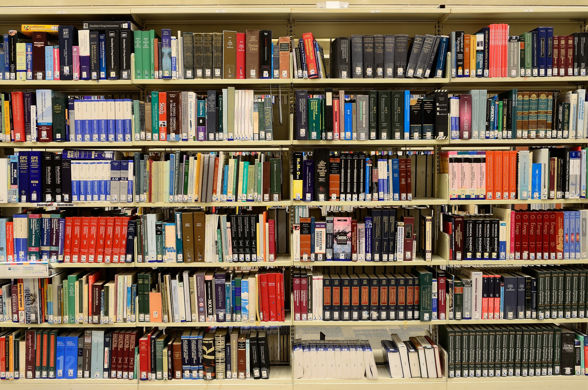 Forsyth County schools' book bans may break civil rights law, federal  officials warn – WABE
