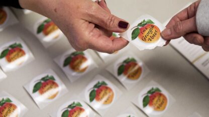 Georgia voters will be asked a series of yes-no questions on Election Day on Tuesday covering a wide range of issues.