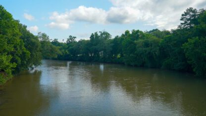 The Chattahoochee River, surrounded by trees