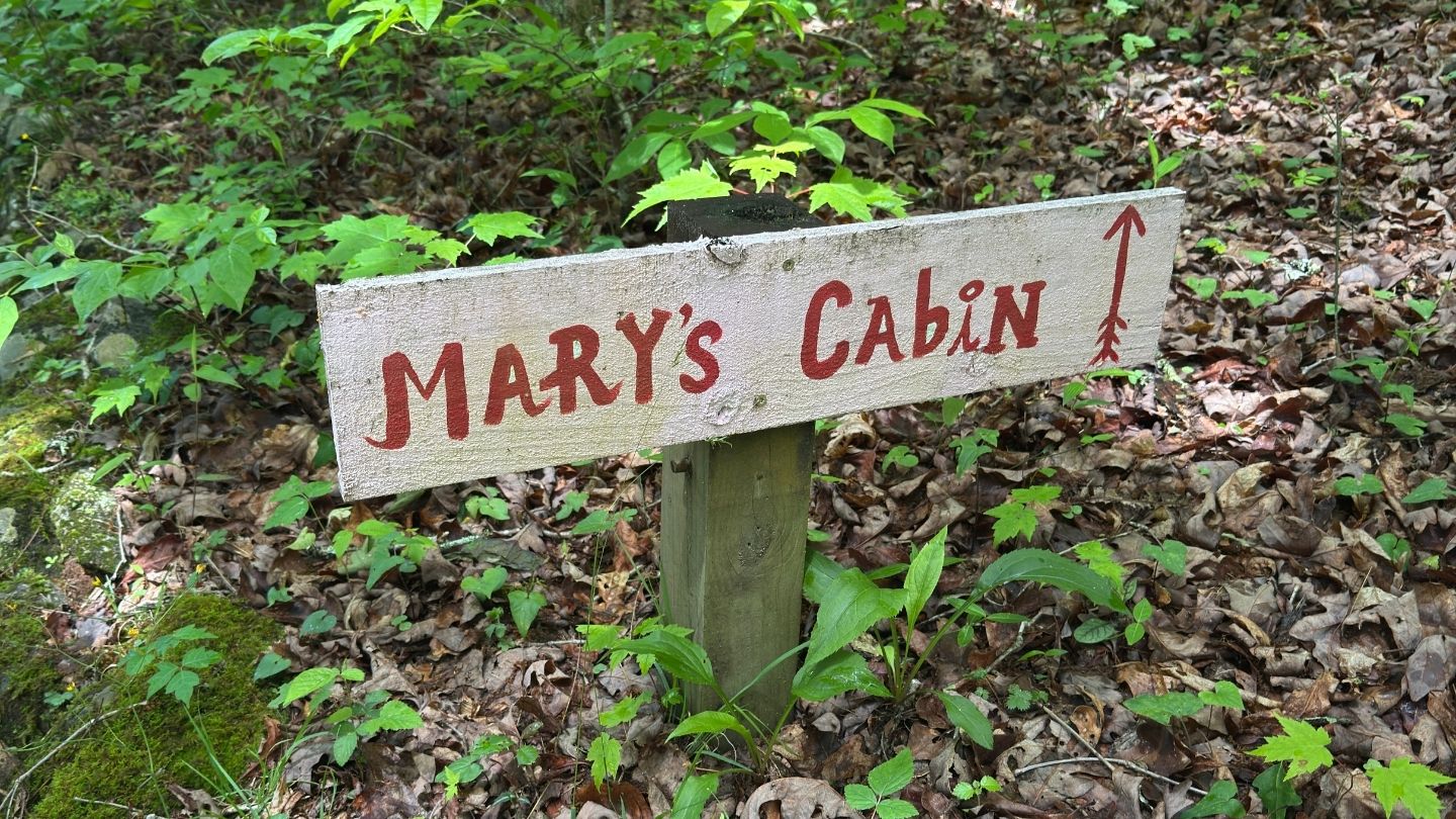 sign in woods