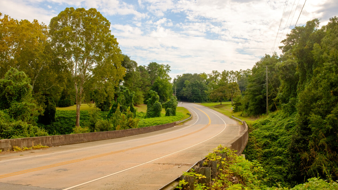 A view of a winding road between overgrown trees and kudzu in Stewart County, Georgia.