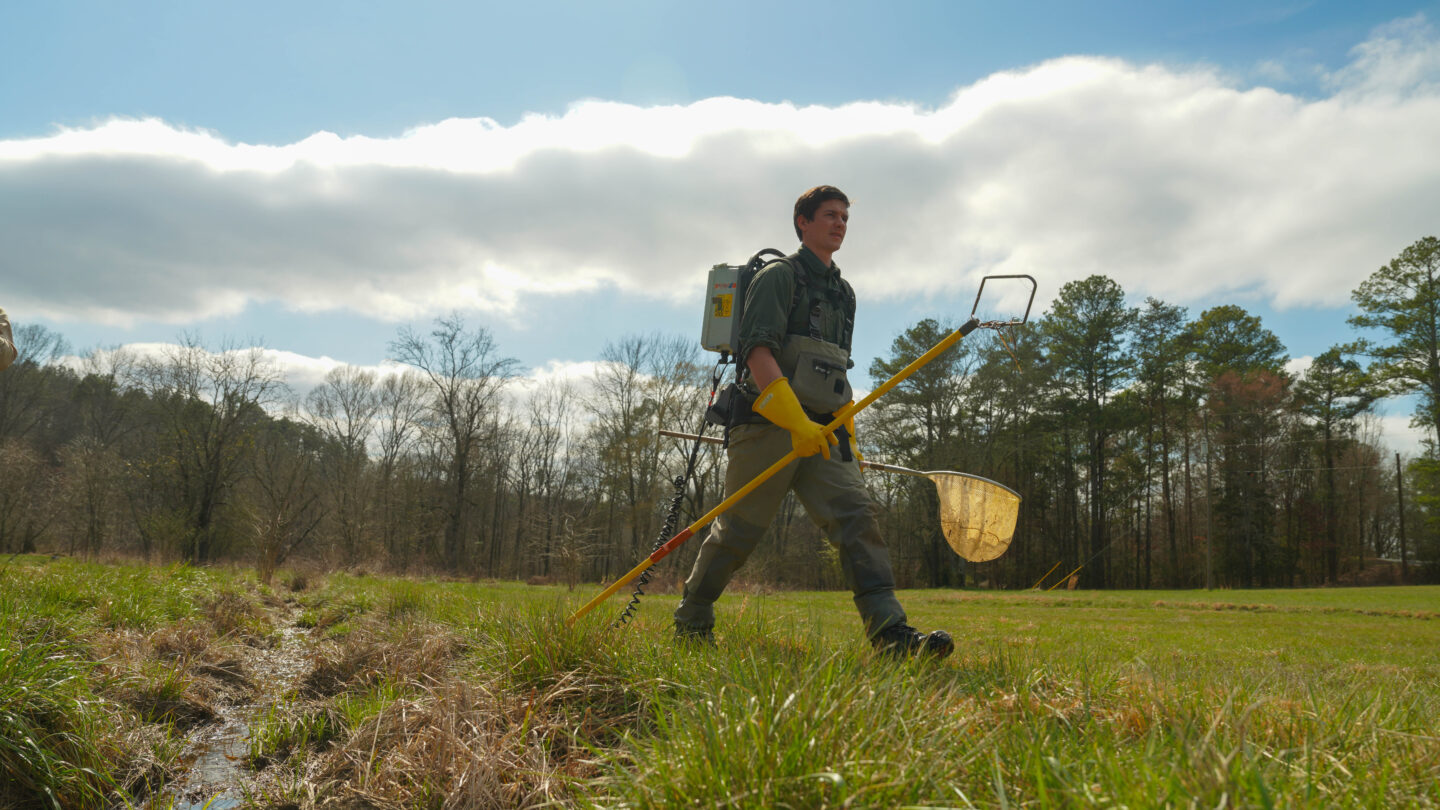 A man strides across a grass field with trees and a blue, cloudy sky in the background. He's wearing waders, sunglasses, and a square backpack for shocking ponds. He carries a net.