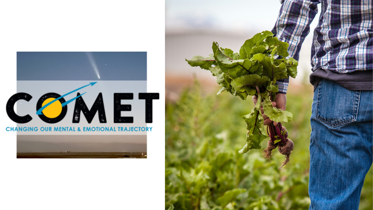 On the left is the COMET logo, and on the right is the hand of a farmer pulling up some radishes