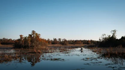 It’s decision time for the Okefenokee Swamp’s proposed World Heritage designation 