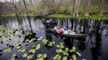 The Okefenokee is about to be honored, but some locals aren’t celebrating